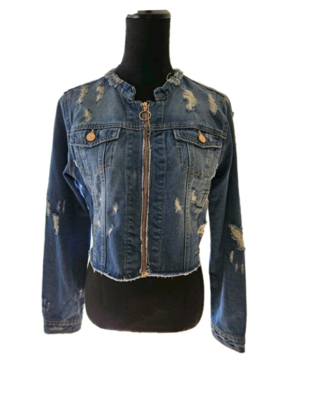 Jean Jacket - Picture 3 of 16